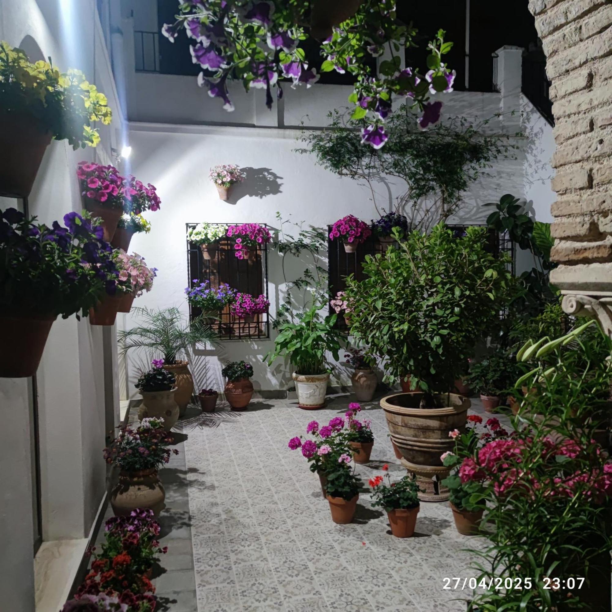 Apartmán El Patio De Regina Córdoba Exteriér fotografie
