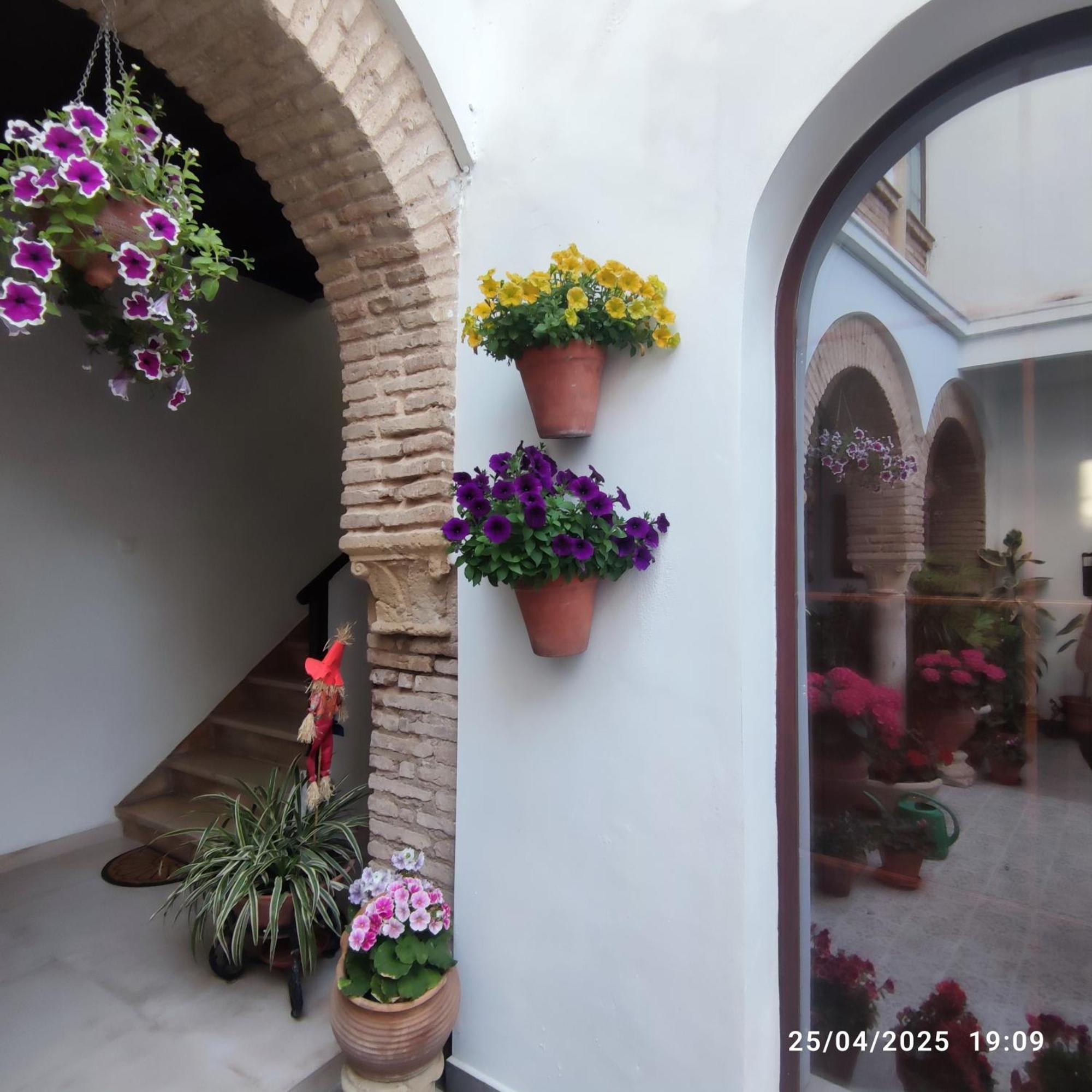 Apartmán El Patio De Regina Córdoba Exteriér fotografie