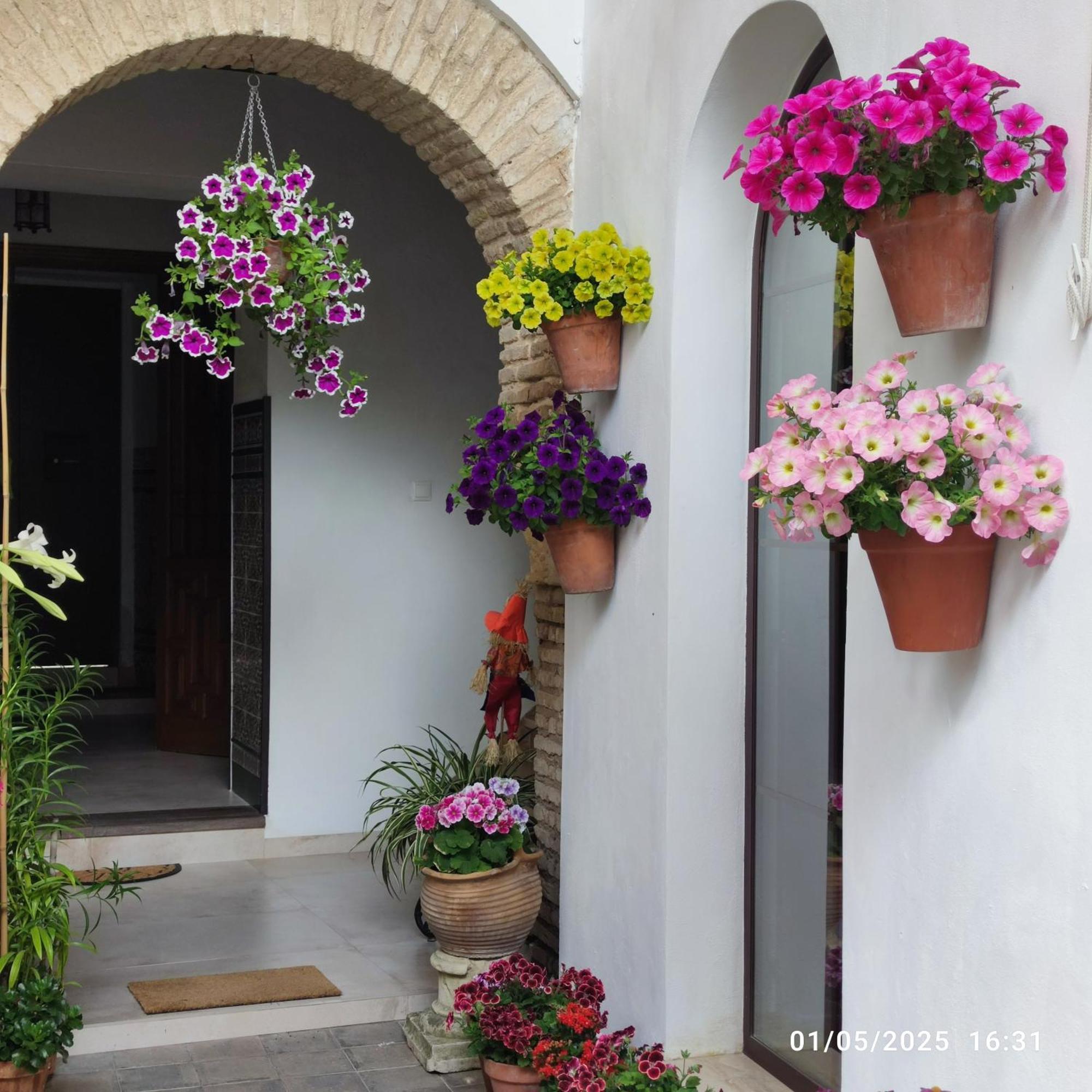 Apartmán El Patio De Regina Córdoba Exteriér fotografie