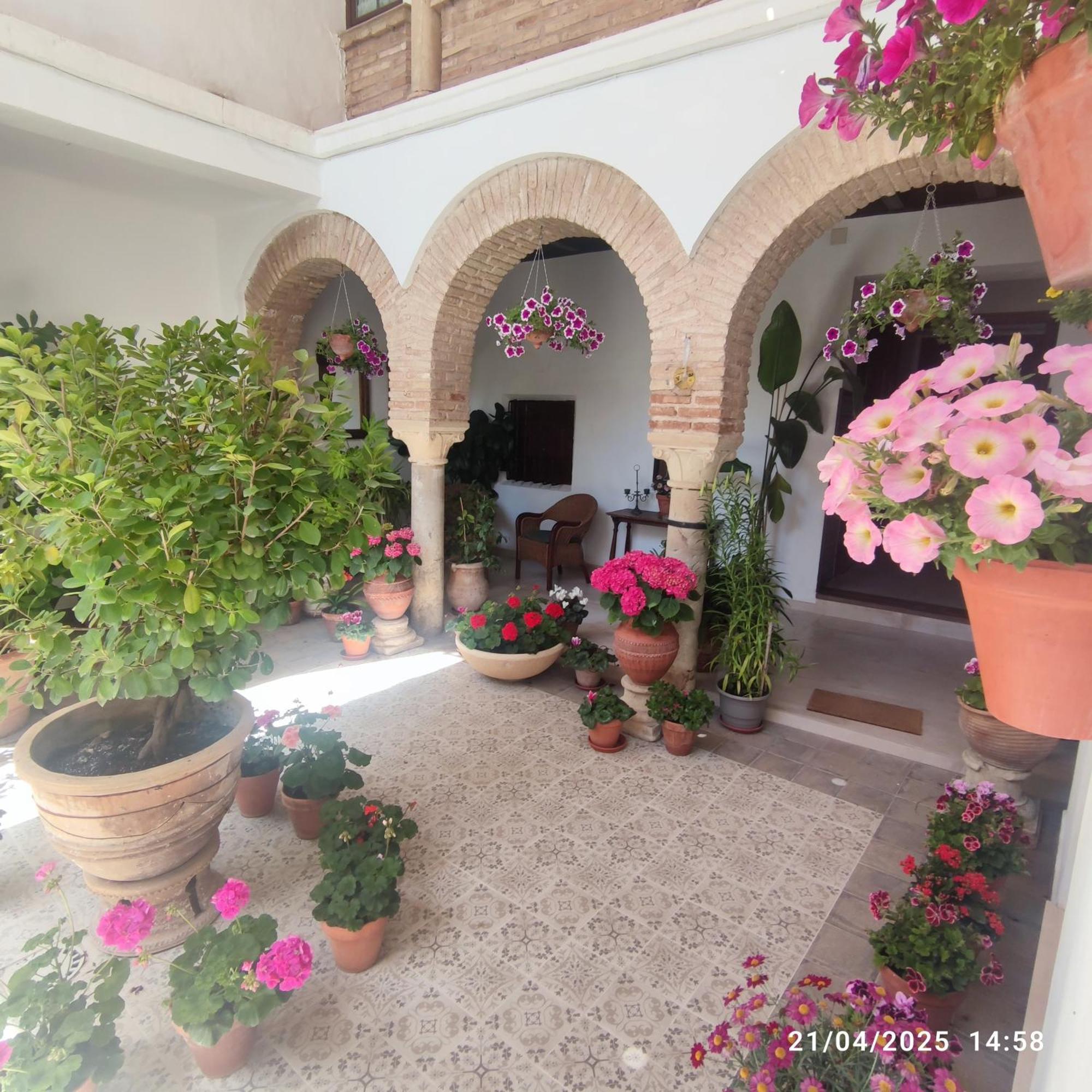 Apartmán El Patio De Regina Córdoba Exteriér fotografie