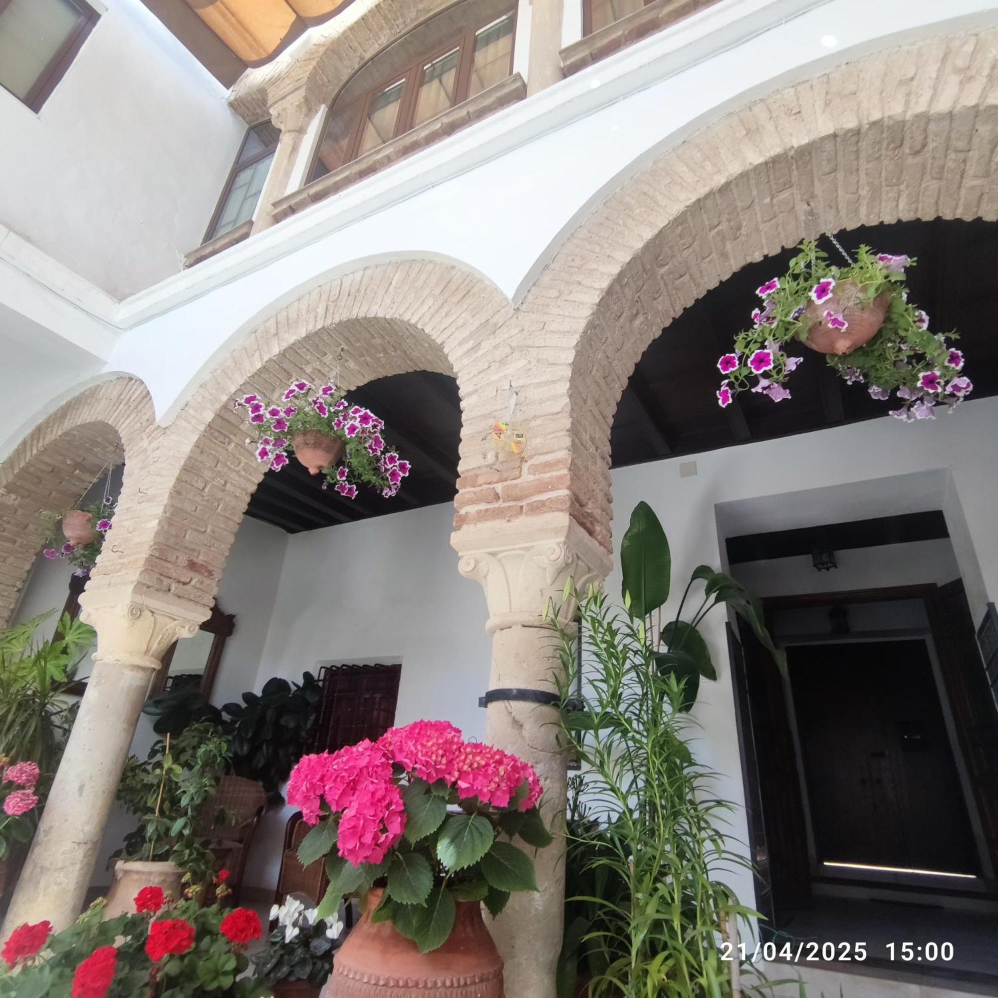 Apartmán El Patio De Regina Córdoba Exteriér fotografie